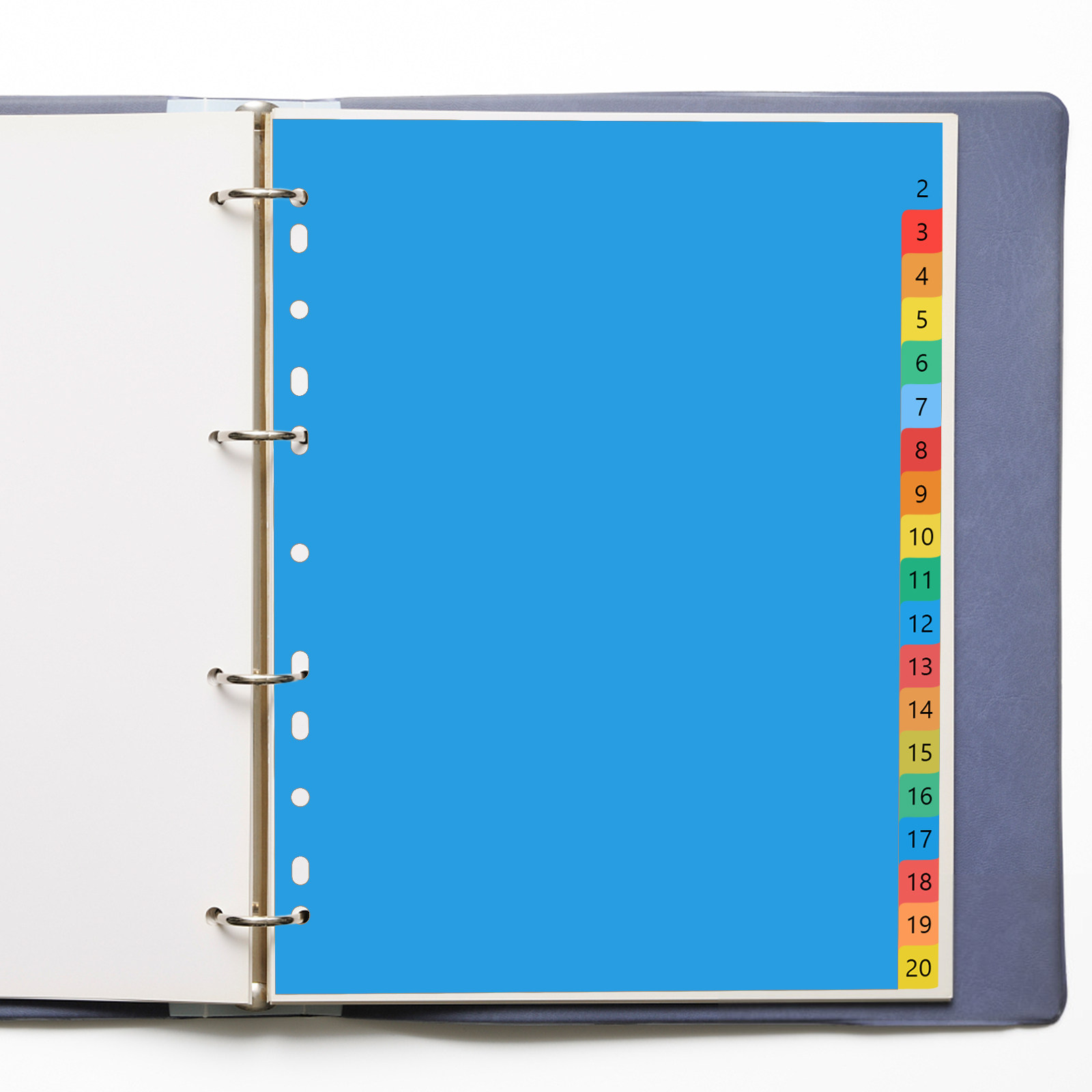 A4 Colorful Plastic Classified - Tab Divider A4 评论和价格