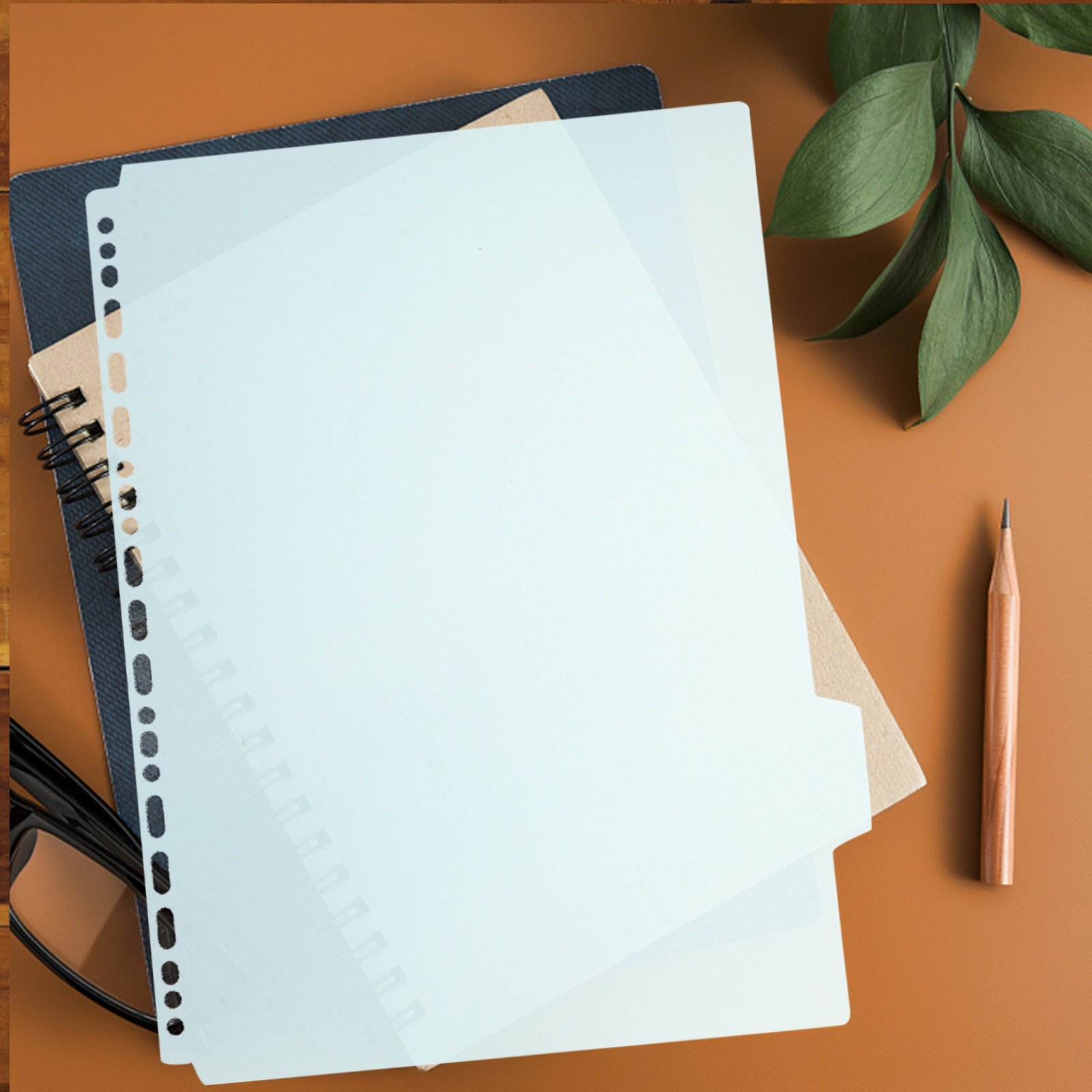6Pcs Index Dividers A4 Binder  - Tab Divider A4 评论和价格