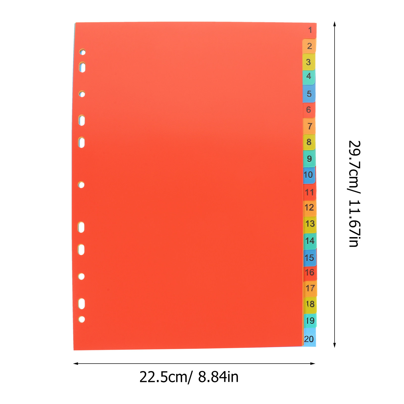 20Sheets A4 Tabbed Binder Divi - Tab Divider A4 评论和价格